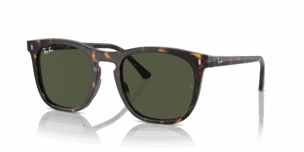 Zonnebril Ray-Ban 0RB2210-902/31 53 Havana Green