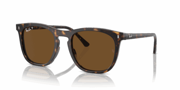 Zonnebril Ray-Ban -0RB2210-902/57 53 Havana Polar Brown