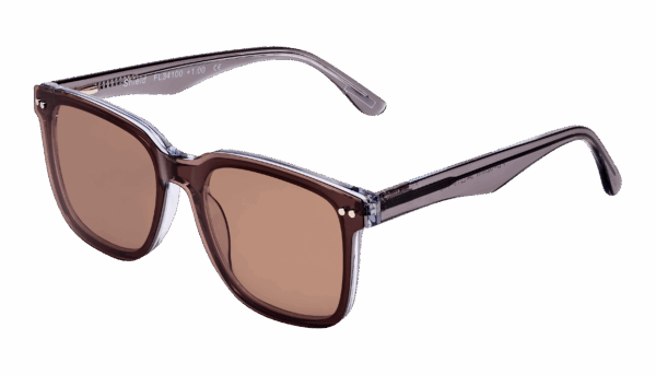 Leesbril Frank and Lucie met zonneclip Eyewant-FL34100-Shield-+2.50