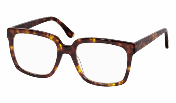 Leesbril Frank and Lucie Eyedeal -FL29504--Turtle shade-+1.00