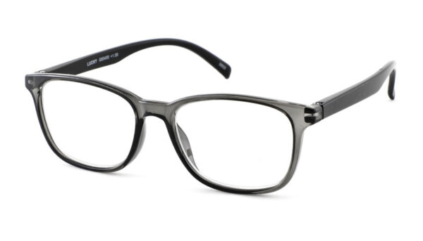 Leesbril INY lucky G65400-Zwart Grijs-+2.50