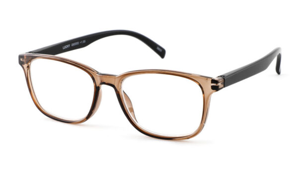 Leesbril INY lucky G65500-Bruin Zwart-+2.50