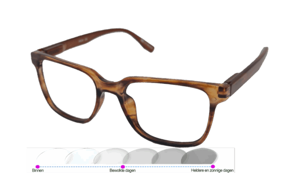 Leesbril Vista Bonita Cubo Photochromic-Amber Dawn-+3.00