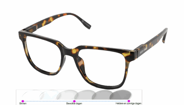 Leesbril Vista Bonita Cubo Photochromic-Hub Havanna-+3.00