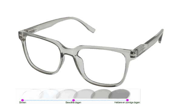 Leesbril Vista Bonita Cubo Photochromic-Kadushi silver-+3.50