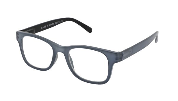Leesbril Have a Look Type B-Blauw/Zwart-+3.00