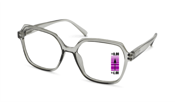 Leesbril Vista Bonita Mira Progressief-Kadushi silver-+4.00