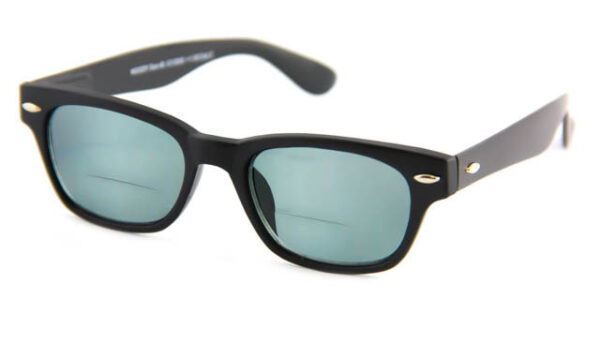 Leeszonnebril INY Woody Bifocaal G13500-Zwart-+2.00