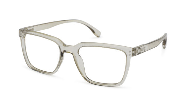 Leesbril Vista Bonita Cubo XL-Kadushi Silver-+2.00