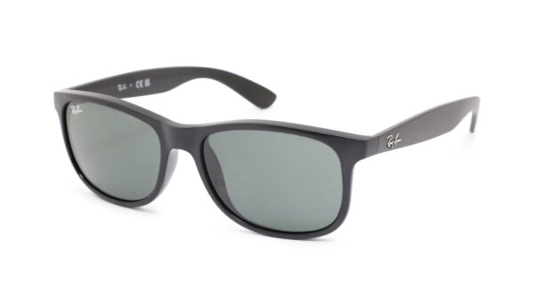 0RB4202 606971 55 Zon Mat Zwart