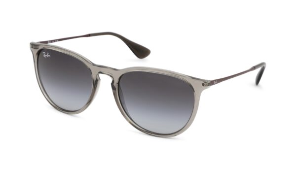 RB4171 65138G-54 grijs/transparant